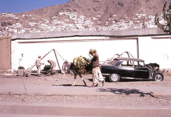 Water Melon Seller & Donkey, Kabul